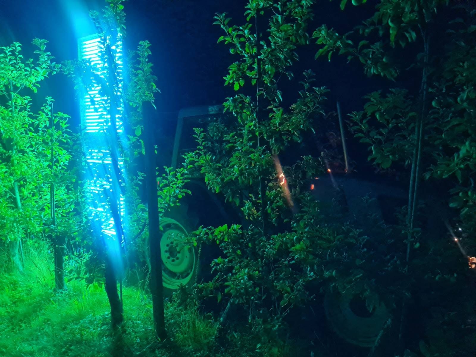 UV4Plants project image 6
